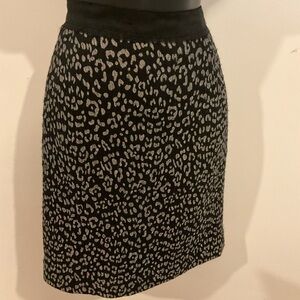 ANN Taylor Skirt